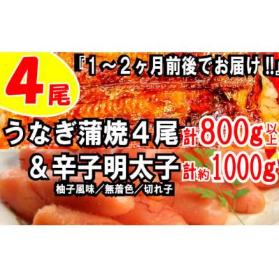 ふるさと納税 新宮町 うなぎの蒲焼4尾&amp;無着色辛子明太子1キロ【ご飯のお供!最強セット】.BF023