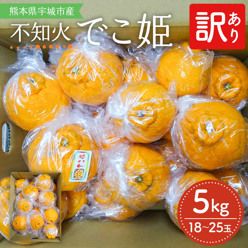 【ふるさと納税】 先行予約 不知火 訳あり でこ姫 約5kg (18〜25個) 【2026年2月中旬-5月下旬発送】 みかん しらぬい 柑橘 宇城市産 熊本県産 九州産 国産 オレンジ ミカン わけあり 傷 キズ 甘い 家庭用 自宅用 蜜柑 濃厚 ジューシー 吉田レモニー
