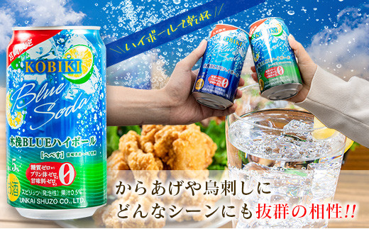 【3か月定期便】雲海酒造 宮崎限定 木挽BLUE ハイボール へべす 350ml×24本（木挽ブルー）_A0087-025