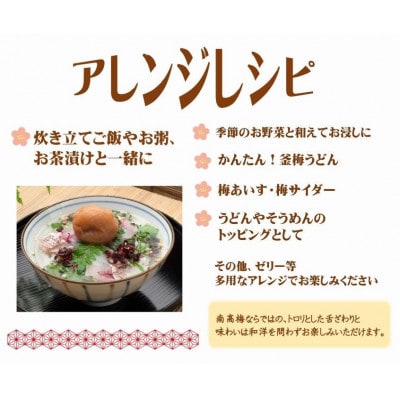 【3ヵ月毎定期便】紀州南高梅はちみつ極塩分約6%(850g)全3回