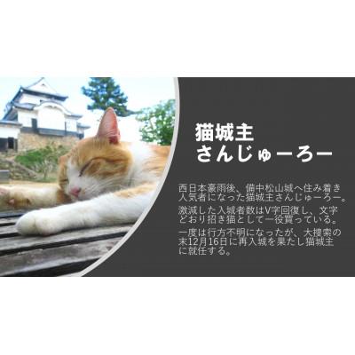 ふるさと納税 高梁市 さんじゅーろーぬいぐるみ |  | 02