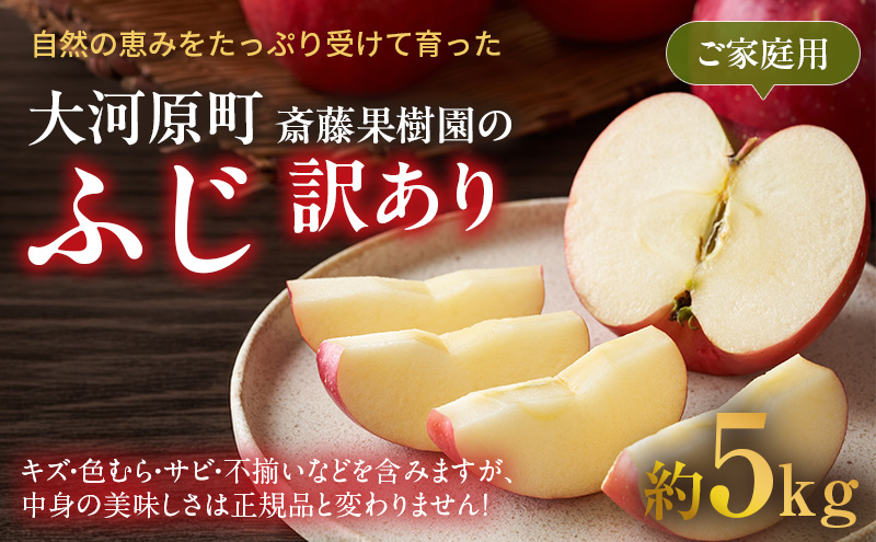 りんご ふじ 訳あり 5kg 果物 フルーツ わけあり 不揃い 規格外 ご家庭用 宮城県 大河原町 産地直送 林檎 リンゴ くだもの 先行予約 送料無料