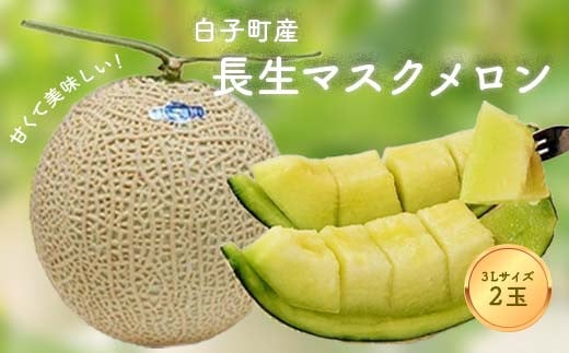 【再募集/令和６年受付 / 数量限定】甘くて美味しい！長生マスクメロン２玉（３L） ふるさと納税 メロン マスクメロン 長生マスクメロン ながいきマスクメロン ２玉 令和６年発送 先行予約 産地 直送 果物 追熟 青肉 甘い デザート 美容 お見舞い 果物 手土産 送料無料 SHK005