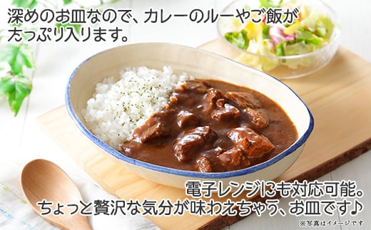 カレーが映えるお皿です♪電子レンジにも対応可能！