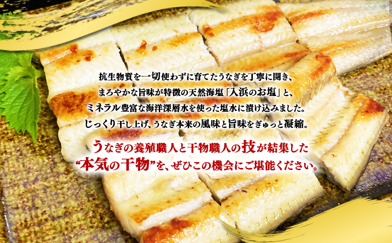 W-1805 鹿児島県産 うなぎ干物 1尾(120g以上)