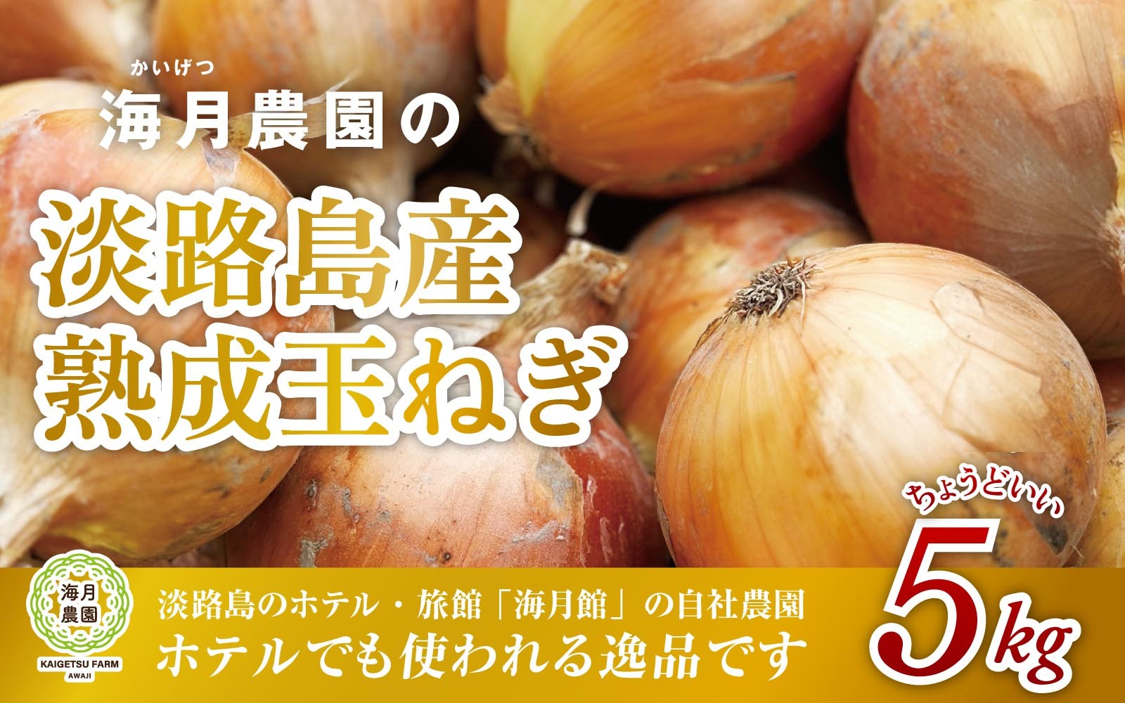 
                  海月館 自社農場栽培！淡路島産 玉ねぎ 5kg
                