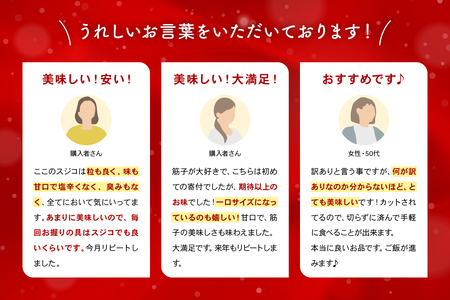 〈4月配送〉訳あり 紅鮭筋子醤油漬 250g R002-052-04