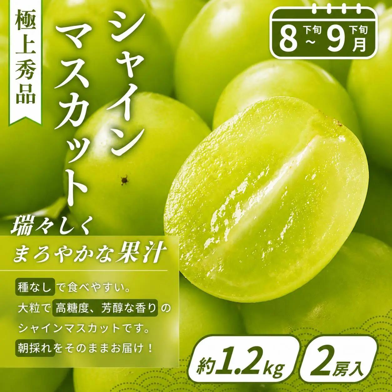 【フルーツ定期便・全4回】品質に自信あり！くしがきの里から直送　桃・シャインマスカット・はれひめ・まりひめを季節ごとにお届け♪ / 定期便 桃 もも みかん 柑橘 シャインマスカット マスカット いち