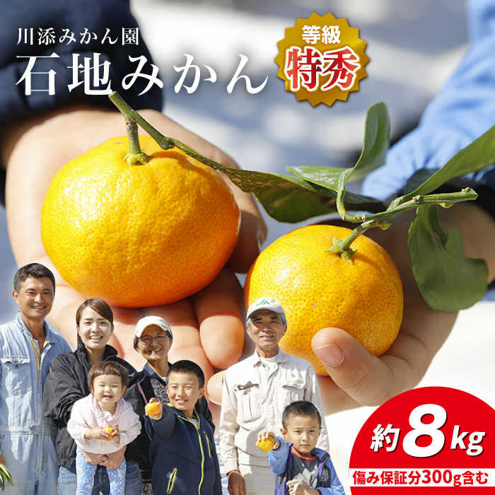 【ふるさと納税】【12月上旬より配送☆特秀品】 石地みかん 約8kg（傷み保証300g含む） ＜川添みかん園＞ [CCT008] 西海みかん 温州みかんミカン 蜜柑 果物 柑橘 デザート 剥きやすい 甘味 果汁 おやつ お土産 プレゼント 贈答 ギフト 甘い 西海