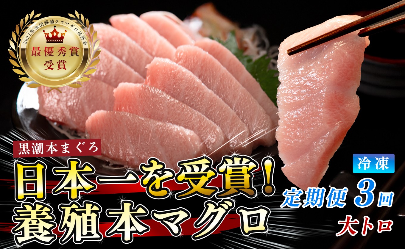 
                  訳あり 不定貫 定期便 3回 国産 養殖本マグロ 大トロ 毎回120g×3回 黒潮本まぐろ 全国養殖クロマグロ品評会 最優秀賞受賞 3ヶ月 3か月 柵 刺身用 本マグロ クロマグロ 本鮪 まぐろ 鮪 お刺身 さしみ トロ 海鮮丼 漬け丼 手巻き寿司 鉄火丼 まぐろ丼 小分け 個包装 真空パック 冷凍 不揃い 家庭用 海鮮 年末年始 高知県 大月町 2万円
                