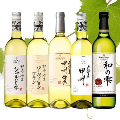 ふるさと納税 山梨市 サントネージュワイン白ワイン5本セット