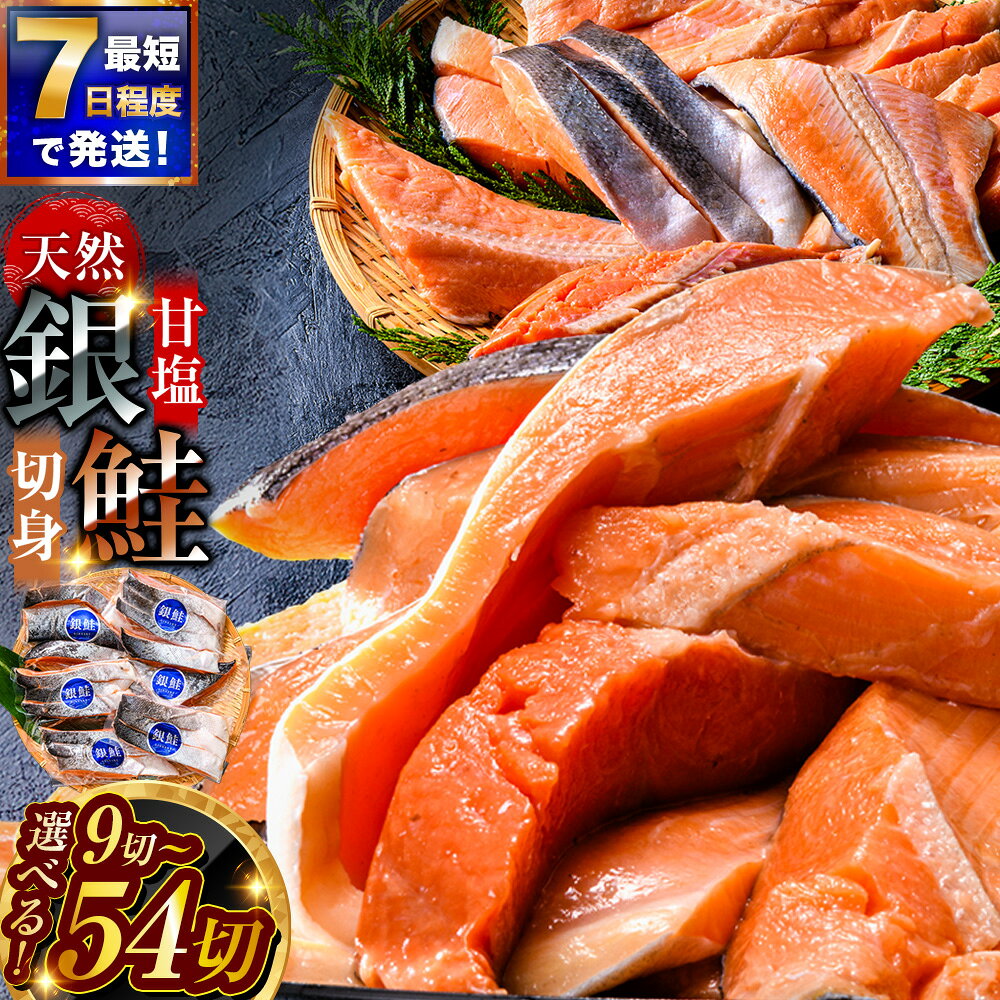 【ふるさと納税】厚切り 銀鮭 3切×3パック 〜 18パック 真空パック 小分け【容量が選べる】3切れごとの真空小分け 切り身 切身 北海道 釧路 ふるさと納税 鮭 サケ 甘塩 魚 魚介 海産物 朝ごはん お弁当 冷凍 北海道 釧路市 送料無料 F4F-2063var