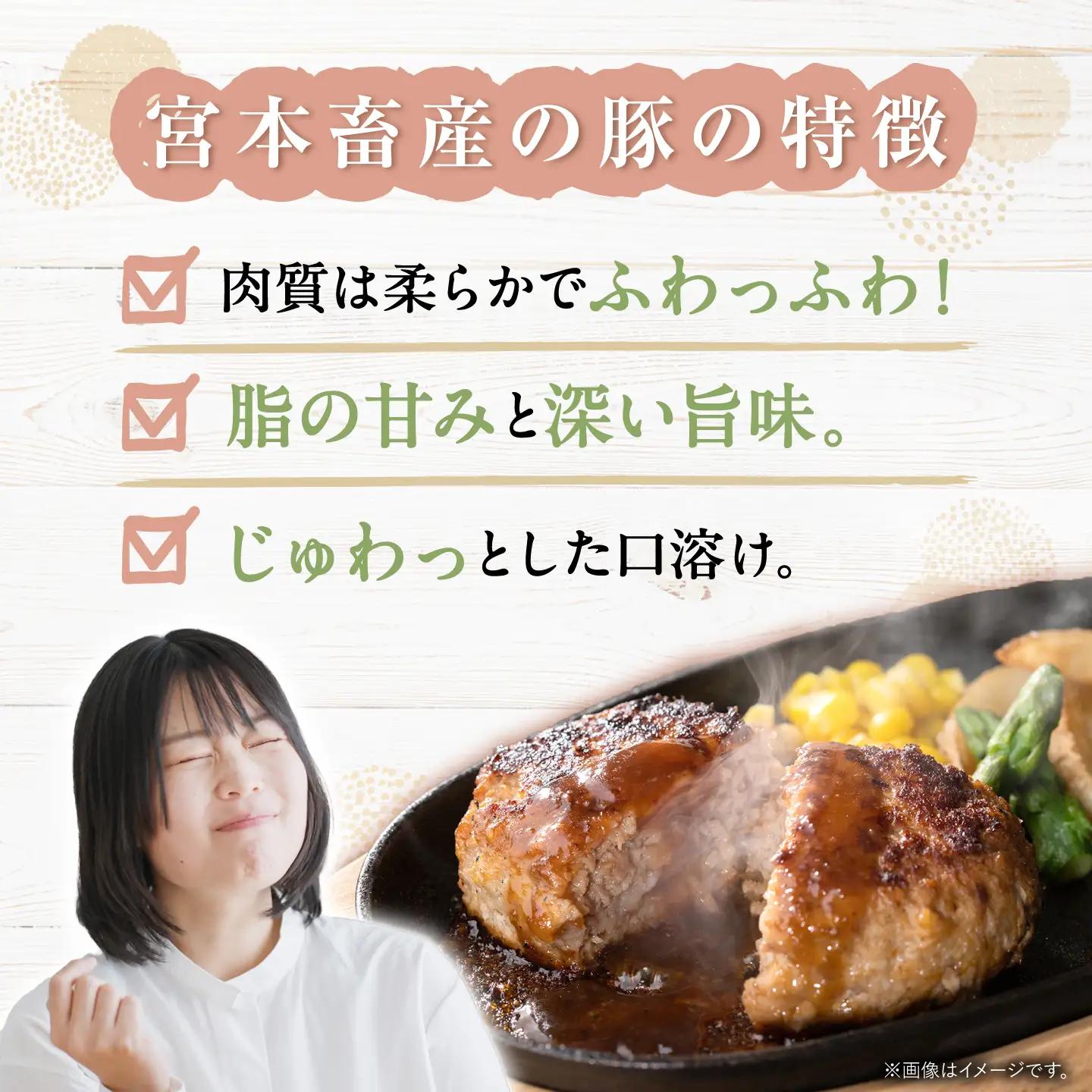 12回定期便 豚ミンチ 2kg [CFA060] 豚肉 ミンチ