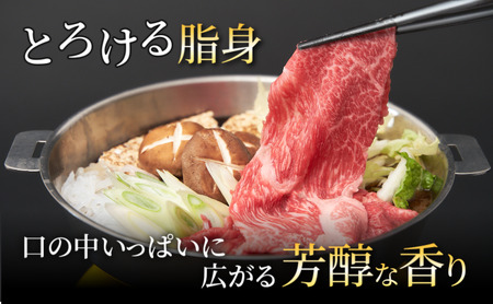 牛肉 近江牛 赤身薄切り 400g 肉 お肉 赤身 牛 近江 和牛 ブランド牛 プレゼント お取り寄せ 日野町 滋賀県