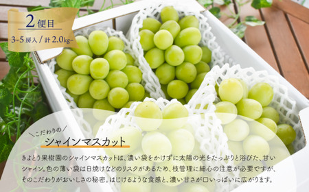 【きよとうファーム】大粒ぶどうの定期便 藤稔とシャインマスカットの人気品種２kg入の２回便(定期便)(岡山県産) 【KF-T052-02】