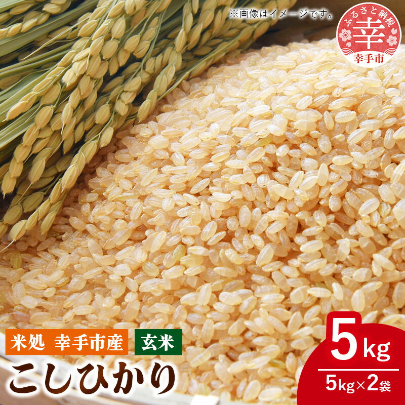 【ふるさと納税】令和7年幸手産 こしひかり【玄米】5kg×1袋 - コシヒカリ 玄米 5kg 令和7年産 埼玉県 幸手市 幸手市産