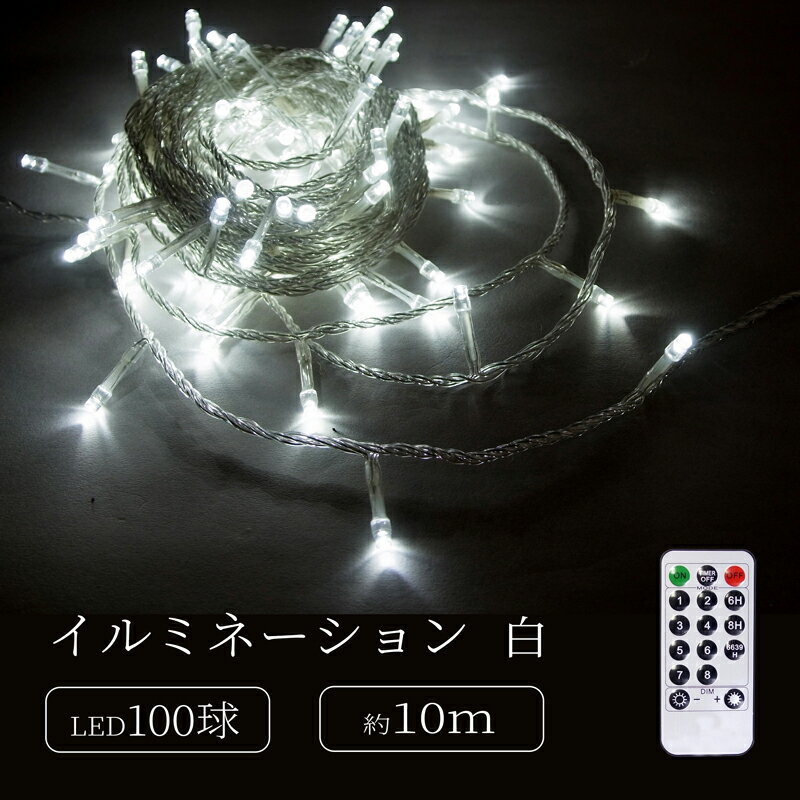 【ふるさと納税】シャインライト100球 アダプター付 【シルバーコード】 ADC100 LED イルミネーション 電飾 室外 シャインライト アダプター