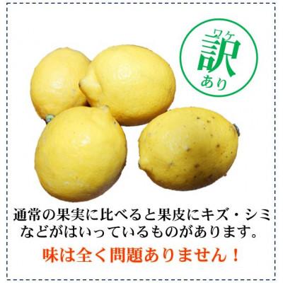 ふるさと納税 日高町 ★先行受付★【ノーワックス】 訳あり 国産 紀州 レモン 約5kg (サイズおまかせ) |  | 01