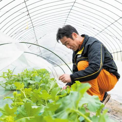 【先行予約】メロン タカミメロン 秀品 1箱 3～4玉 八千代町産