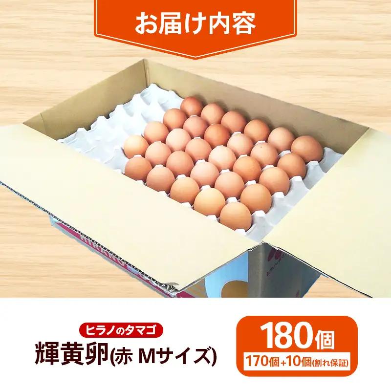 ヒラノのたまご 輝黄卵(きおうらん) 赤Mサイズ 180個 【 割れ保証込み 卵 たまご タマゴ 国産 新鮮 直送 輝黄卵 朝ごはん 卵かけごはん 福岡県 筑前町 AJ001】