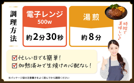 デミグラスハンバーグ 10個入り 簡単調理 ハンバーグ [A-0587]