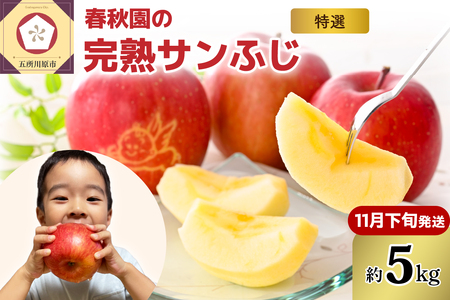 【2025年11月下旬発送】りんご5kg青森産春秋園の最高級「特選」大玉完熟サンふじ