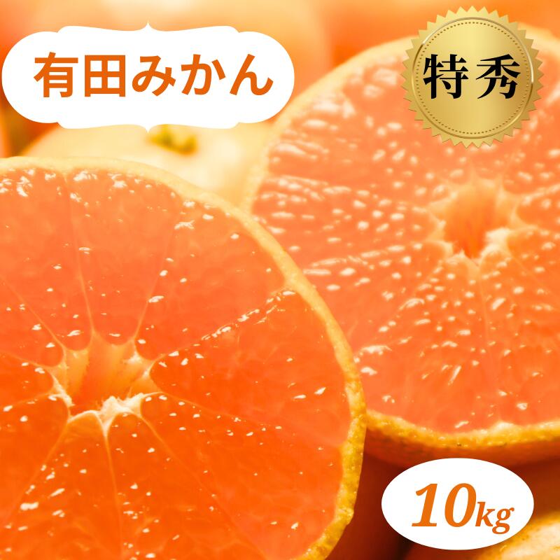【ふるさと納税】 和歌山県産 有田みかん 10kg 特秀 ※2025年10月下旬〜2026年1月中旬頃に順次発送予定（お届け日指定不可) ミカン 柑橘 みかん 和歌山 有田