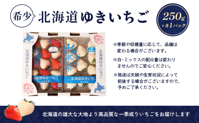 【北海道産】ゆきいちご（ゆきぼたん/紅ほっぺ）白×ＭＩＸ　2Ｐセット　各250g×2 計500g【59002】_イメージ5