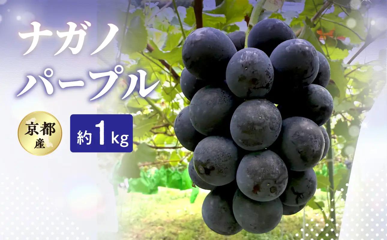 2026年 ナガノパープル 約1kg 京都木津川市産 フルーツ 106-03