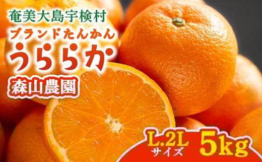 
            【2026年2月～3月出荷開始】 ブランドたんかん うららか (5kg) L 2Lサイズ 奄美大島 宇検村 数量限定 期間限定 タンカン 果物 フルーツ 柑橘 鹿児島 森山農園
          
