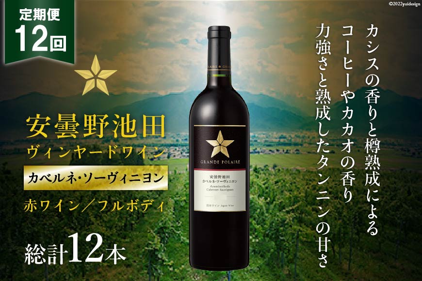 12回 定期便 赤ワイン サッポロ グランポレール 安曇野池田ヴィンヤード「カベルネ・ソーヴィニヨン」750ml 総計12本 [ナチュラルマルシェ ソヨソヨ 長野県 池田町 48110875] 赤 ワイン フルボディ 濃厚 凝縮 お酒 酒