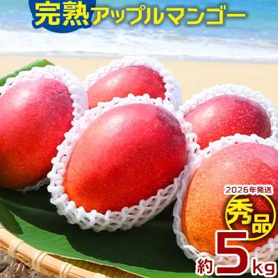 マンゴー【2026年発送】完熟アップルマンゴー秀品・約5kg