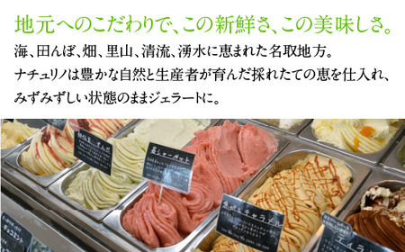 秘伝の陣太刀 ずんだ ジェラート 6個セット