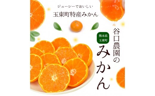 ご家庭用『谷口農園』のみかん約4.5kg(2S-2Lサイズ)《11月-12月頃出荷》  ちょこっと訳あり---sg_wtamkn_bc11_23_8000_4500g---