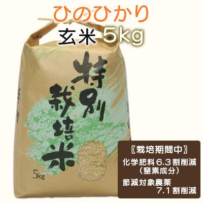 ふるさと納税 諫早市 【令和7年産】特別栽培米・九州のこだわり米「ひのひかり」玄米5kg