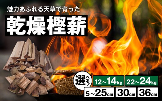 
                  S163-001-sku_魅力あふれる天草で育った乾燥樫薪
                