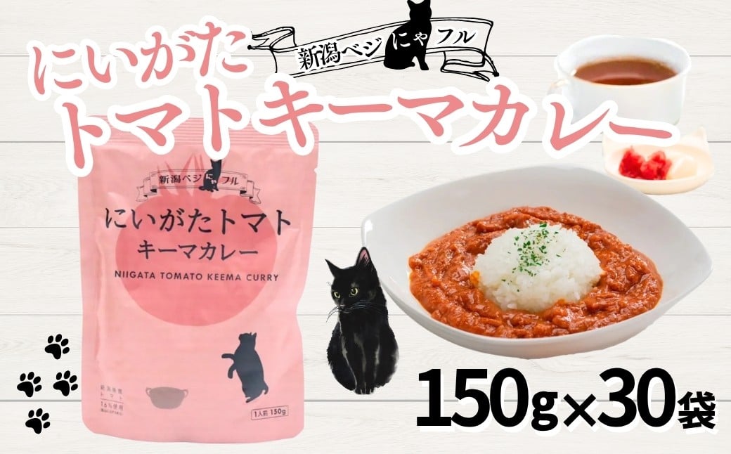 
            新潟ベジにゃフル にいがたトマトキーマカレー 30袋セット 阿部幸製菓【0002-0391-01】
          