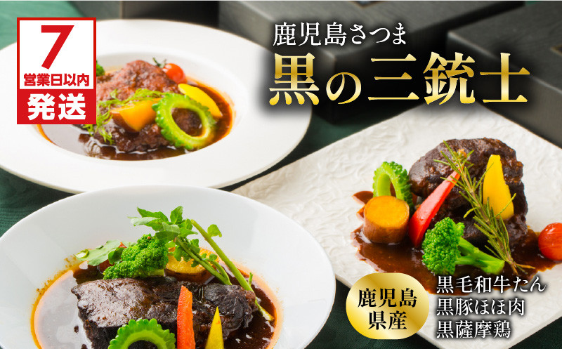 
【洋食グリル肝付】鹿児島さつま黒の三銃士　レトルトシチュー　K084-001
