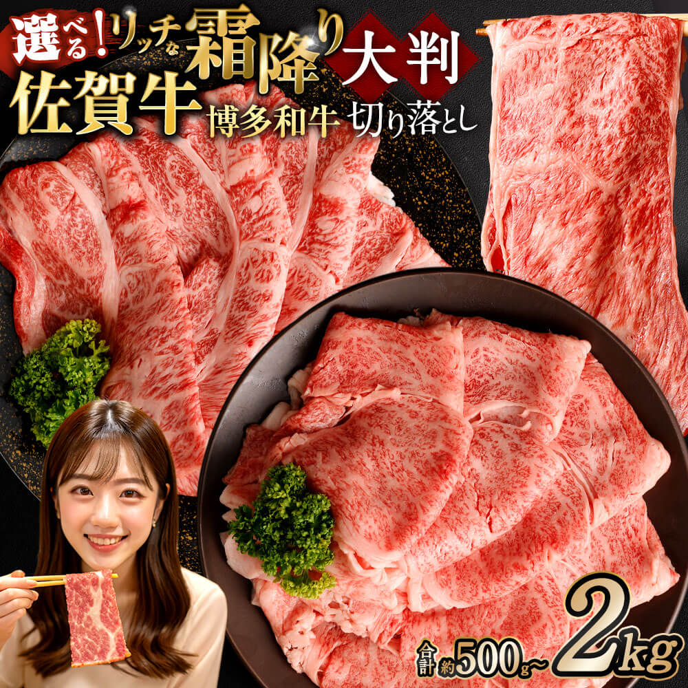 【ふるさと納税】【2025年9月初登場】＜選べる 種類・容量・発送月＞ 佐賀牛 佐賀牛＆博多和牛 リッチな霜降り 大判切り落とし 約500g ～ 計約2kg 黒毛和牛 牛肉 肉 お肉 肩ロース モモ 肩 すき焼き 冷凍 国産 九州 福岡県 太宰府市 10000円 ～ 34000円 1万円 ～ 3万4000円