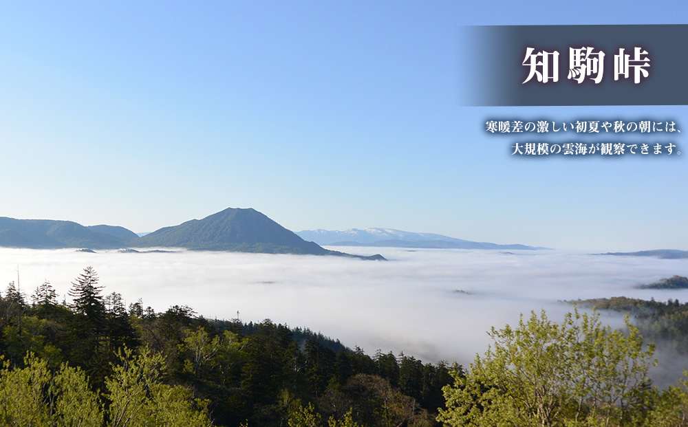 北海道 中頓別町 ☆応援寄附金☆【返礼品なし】10,000円分 ふるさと納税 寄附のみ