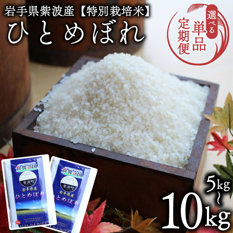 【ふるさと納税】米 ひとめぼれ 精米 令和7年産【選べる 5kg/10kg 単品/定期便】★特別栽培米★ 岩手県紫波町産 精米 白米 お米 ご飯 ふるさと納税米 岩手県（AD045-055）