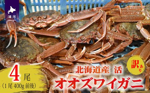 
                  訳あり 活オオズワイガニ400g前後×4尾[02-1568]
                