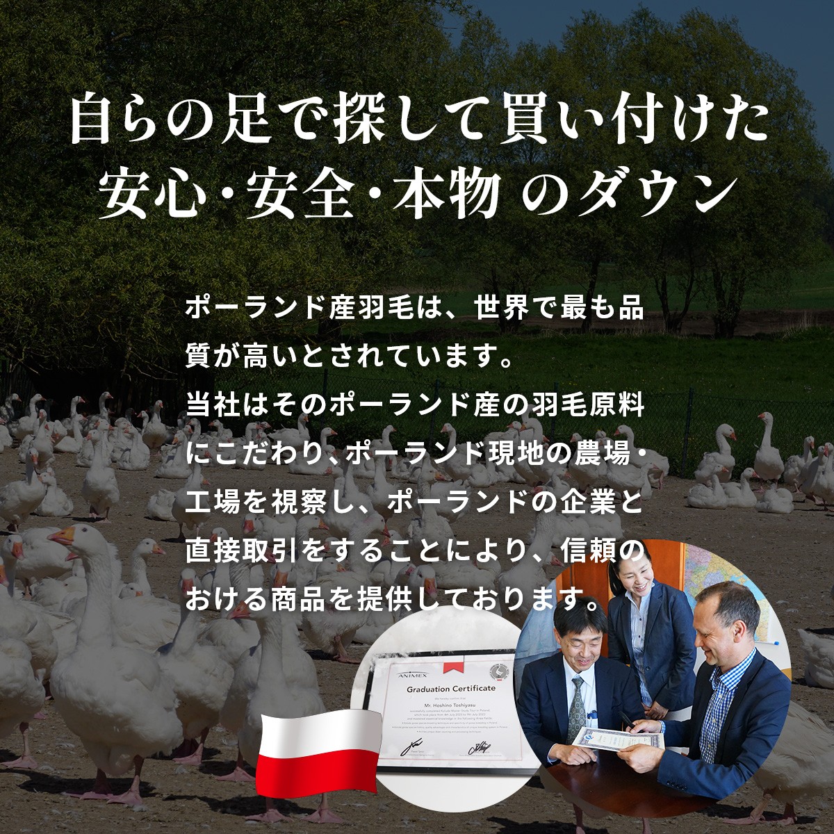 【カバーなし】羽毛ふとん ポーランドコウダマザーグースハンドセレクト クイーンサイズ | 寝具 布団 ふとん 羽毛布団 羽毛 綿 綿生地 ダックダウン ダウン ポーランド産 ポーランドダックダウン 手作り布団 日本製布団 日本製 手作り ふかふか布団 職人仕立て 軽い 群馬県 前橋市