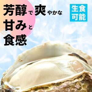 【お申し込みは5/17まで】【寄付額改定】いわがき春香 Sサイズ 3個｜海鮮 海産物 海の幸 シーフード 魚貝類 牡蠣 岩牡蠣 かき ブランド牡蠣 いわがき春香 生食 海士町