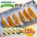 【ふるさと納税】UMAUMAグルテンフリー野菜ギョーザ120個セット_ ぎょうざ 餃子 ギョウザ 野菜ぎょうざ 中華 総菜 飲茶 点心 中華総菜 おかず 簡単調理 UMAUMA 大粒 ヴィーガン グルテンフリー 冷凍 小分け 個包装 セット 【配送不可地域：離島・沖縄県】【1513197】