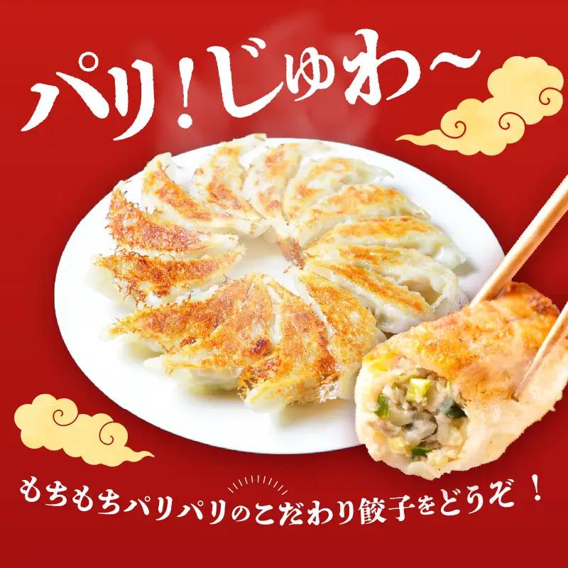 豚骨スープで焼く 餃子専門店の餃子 将軍餃子54個 A02032