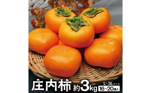 庄内柿　約3kg(16～20個入)L～３Lサイズ SZ0393