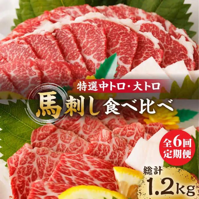 【6回定期便】特選霜降り馬刺し 中トロ大トロ2種食べ比べセット 計200g（各1pc）【馬刺しの郷 民守】 2種馬刺しセット 中トロ 大トロ 熊本 霜降り 特選 [ZBL078]