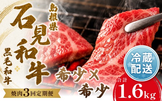 【定期便3ヶ月】石見和牛でちょっと贅沢　焼肉定期便（合計約1.6kg）【国産 牛肉 冷蔵 黒毛和牛】