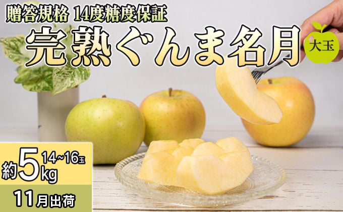 
            11月 贈答規格 完熟大玉ぐんま名月約5kg（12～16個）14度糖度保証【青森りんご・ゆうきアップル・11月】 果物類 果物 フルーツ ジューシー 
          